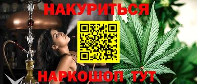 сатива Ставрополь