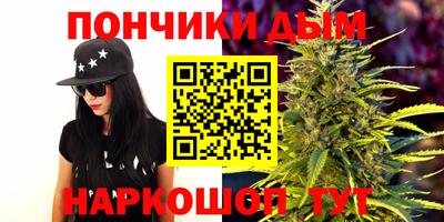 сатива Ставрополь