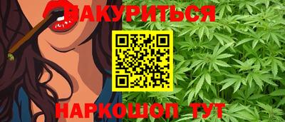 сатива Ставрополь